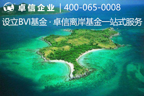 1592286978420205.jpg bvi基金.jpg