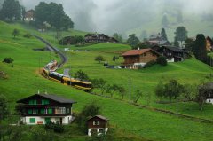 瑞士申請分支機構(gòu)可以用bvi公司當(dāng)法人嗎