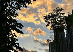 2025上半年，中國企業(yè)出海刷新全球副本：更猛、更強(qiáng)、更聰明