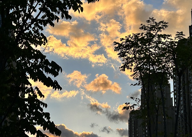 2025上半年，中國企業(yè)出海刷新全球副本：更猛、更強、更聰明