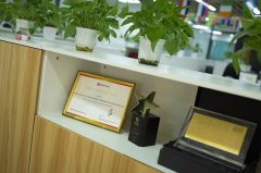 解析亞馬遜賣家為何青睞香港公司作為運(yùn)營主體